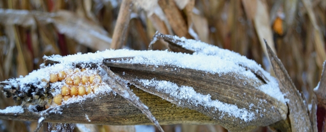 Naturopathe dépression saisonnière blues hiverna;